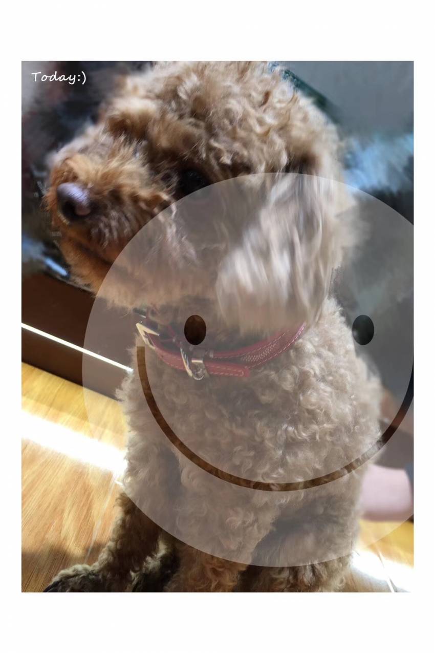 mmexport1534254657381.jpg