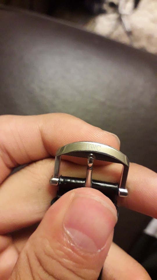 iwc5.jpg