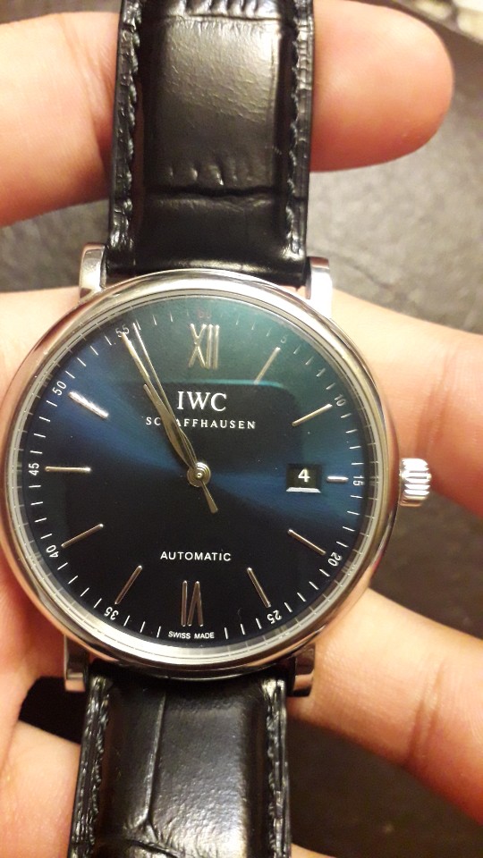 iwc.jpg