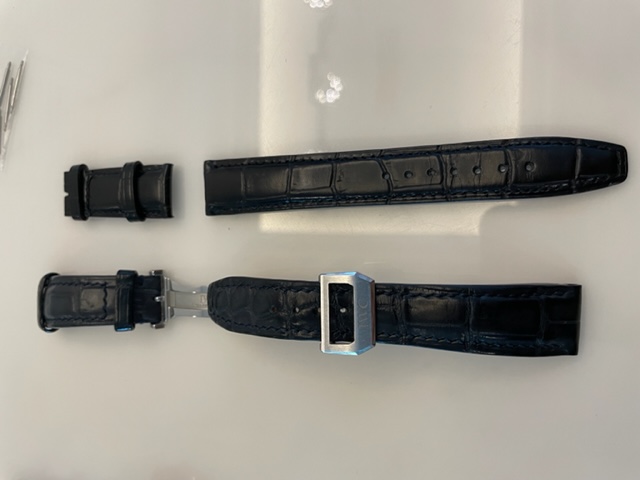 IWC 8.jpg
